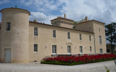 Vista en primer plano del Château