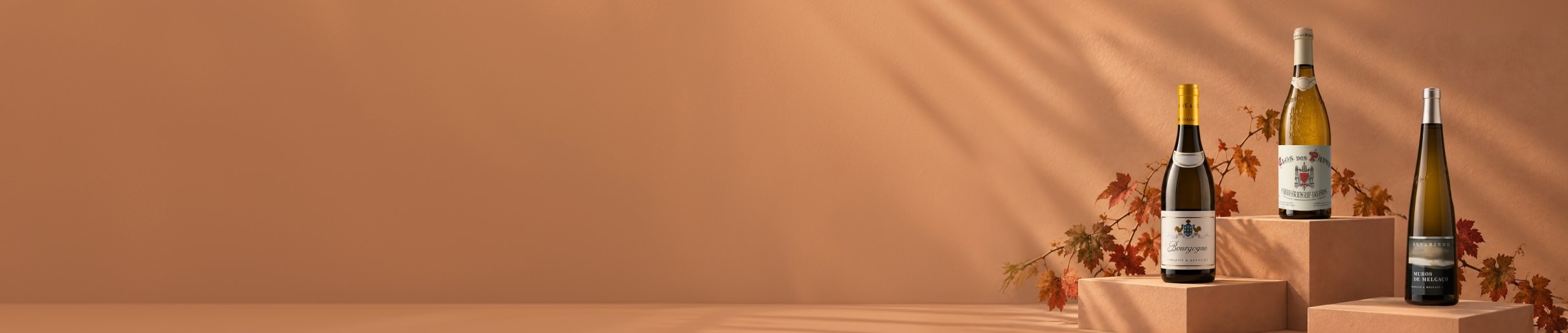 Banner: Blancs de l’automne