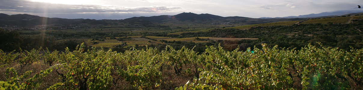 Producteur: Domaine de Bila-Haut