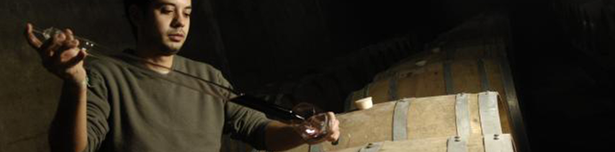 Producteur: Bodega Giménez Méndez