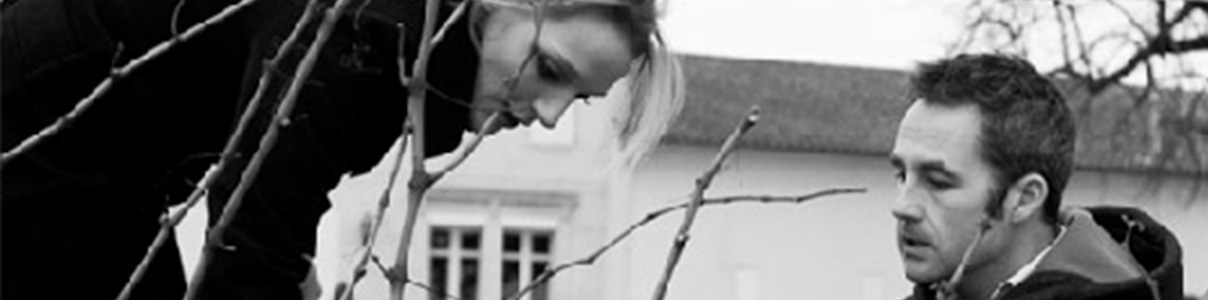 Producteur: Château Les Hauts-Conseillants