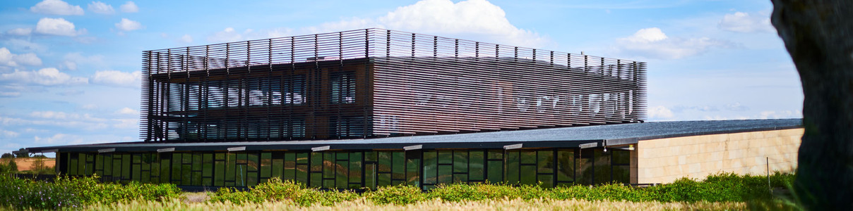 Producteur: Bodega Bela