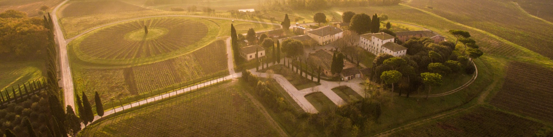 Producteur: Avignonesi 