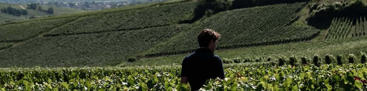 Producteur: Champagne Haton