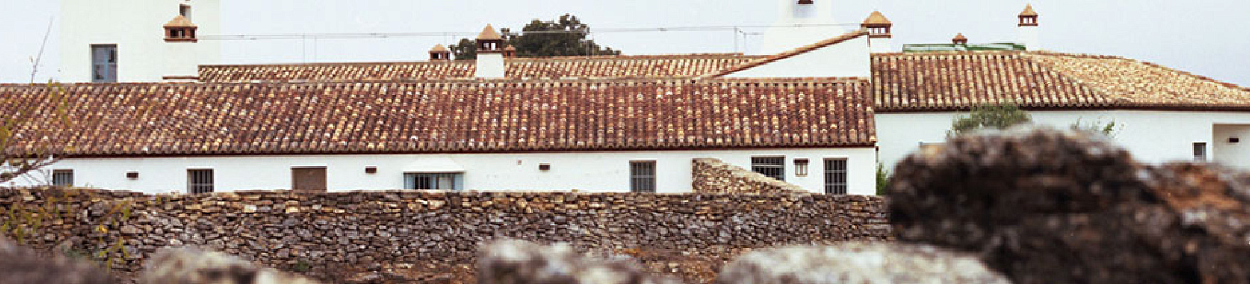 Cortijo Los Aguilares