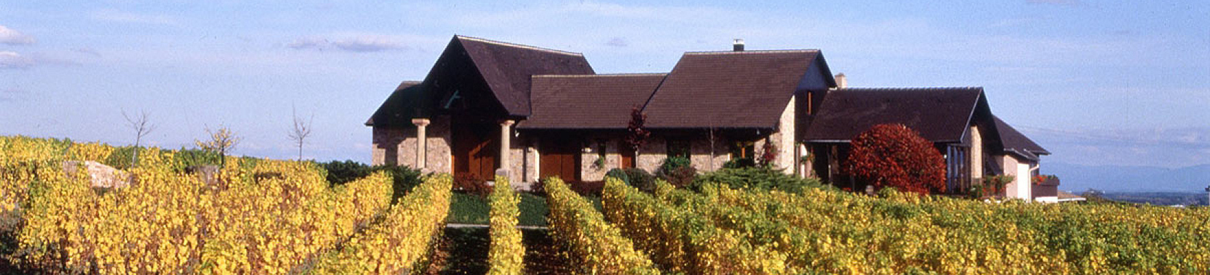 Domaine Kientzler