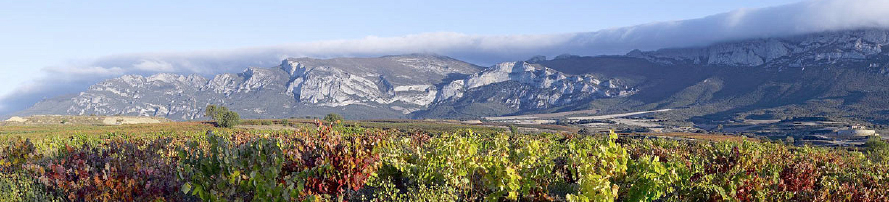 Bodega Altos de Rioja