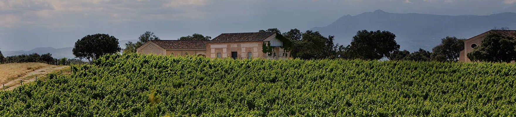 Bodegas Arrayán