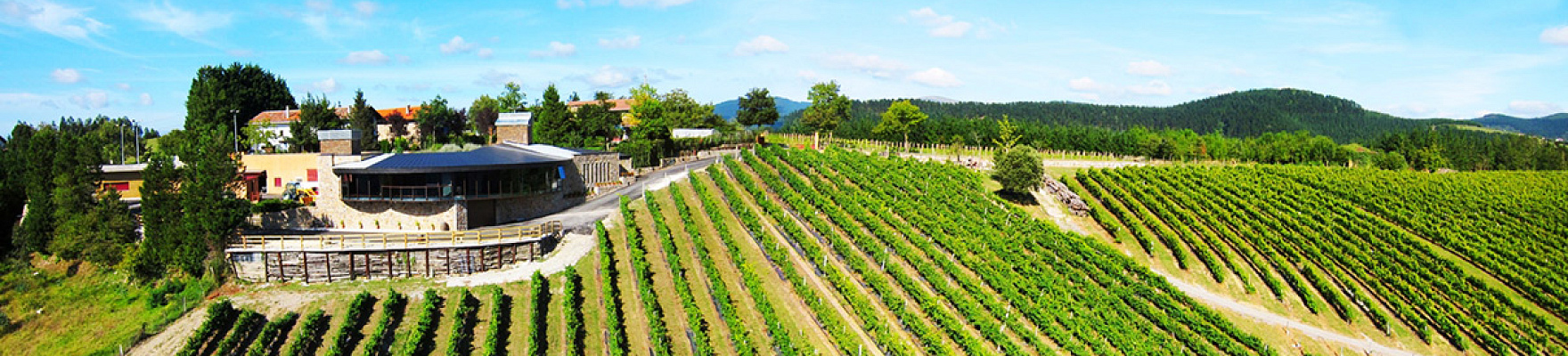 Bodega Berroja