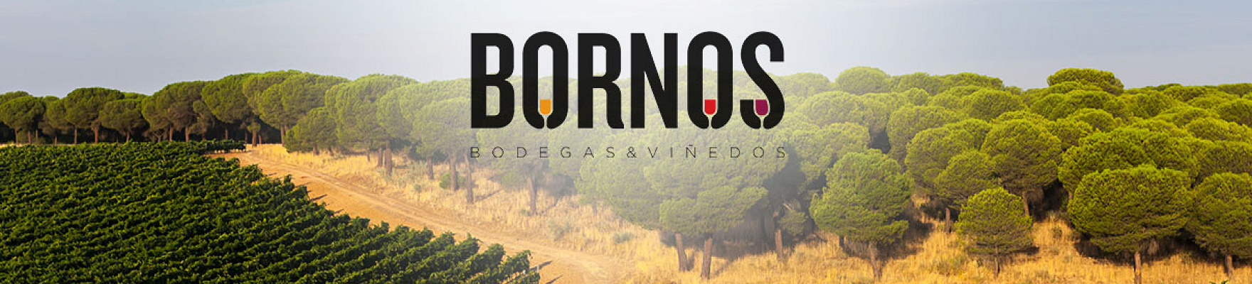 Bornos Bodegas y Viñedos