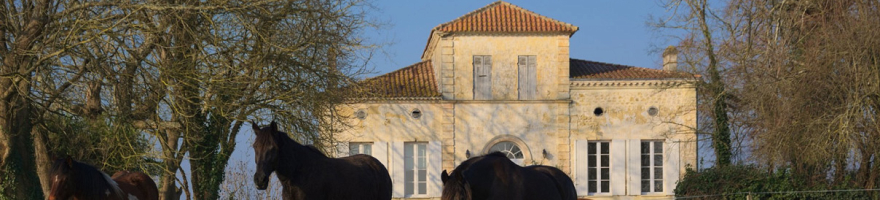 Château Les Landes de Cach