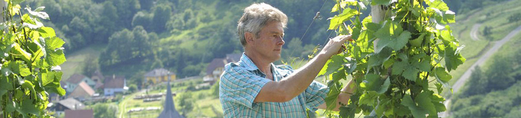 Domaine Christian Barthel