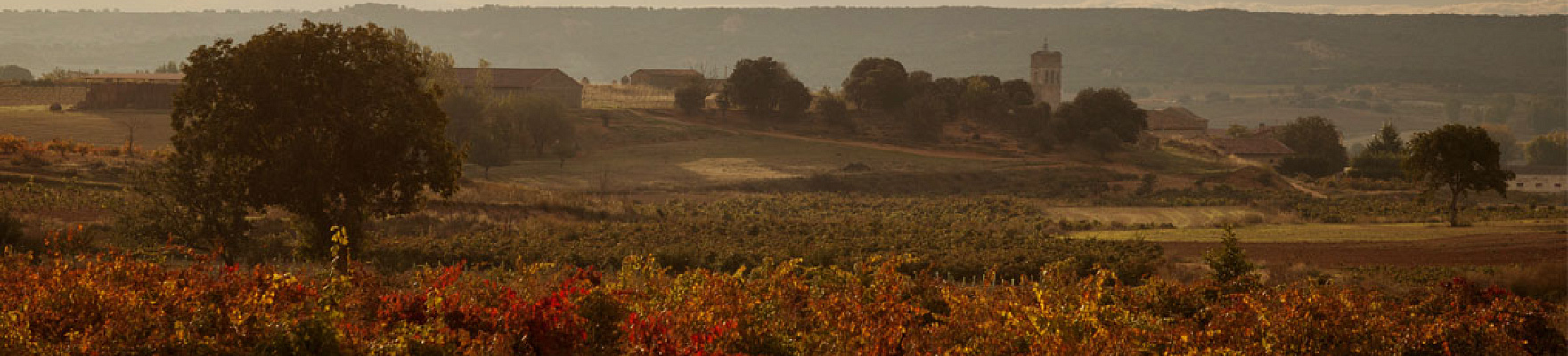 Cillar de Silos