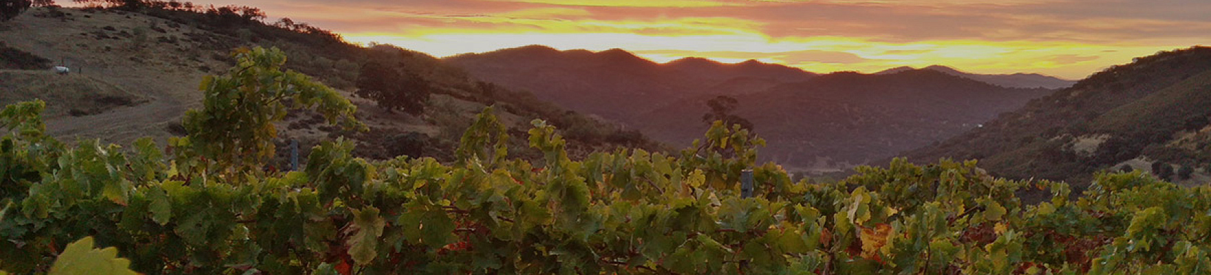 Colonias del Galeón