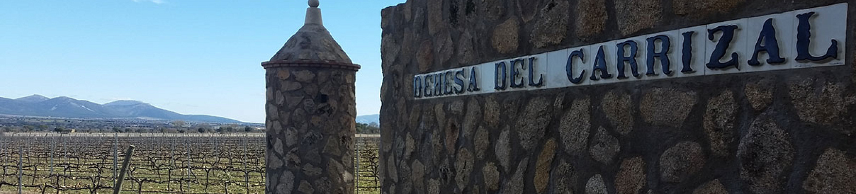 Dehesa del Carrizal