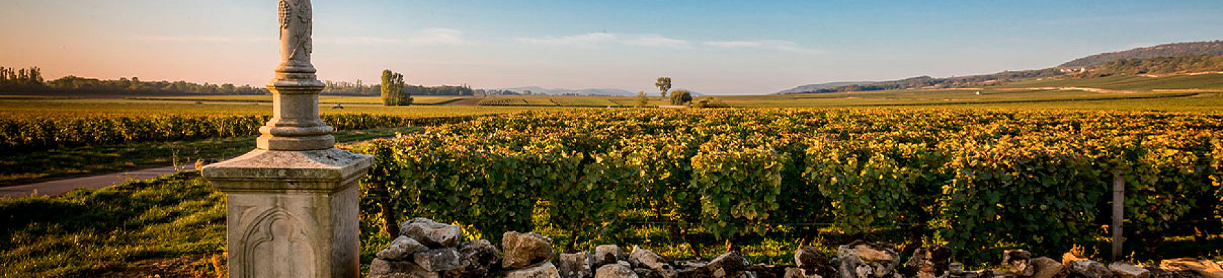 Domaine François Mikulski