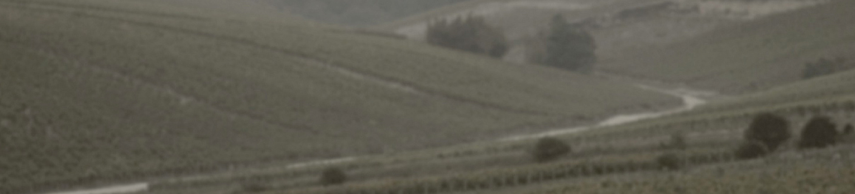 Domaine Jean-Marc Brocard