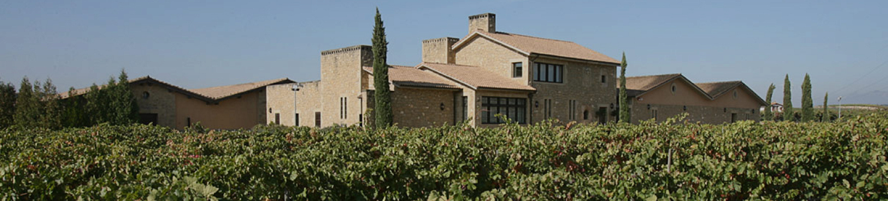 Panorámica de la bodega