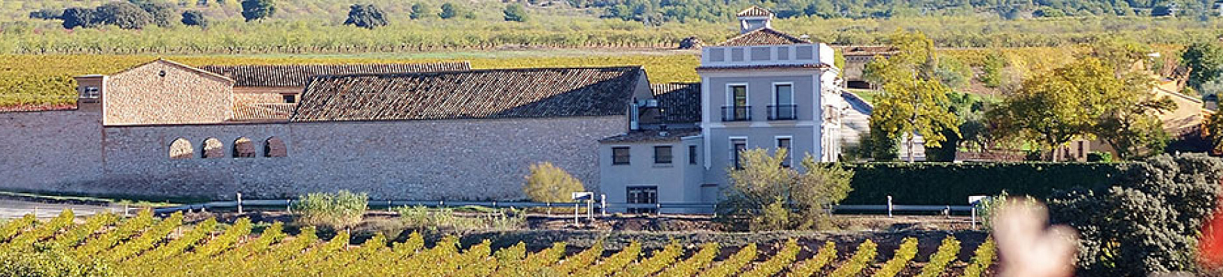 Mustiguillo Viñedos y Bodega