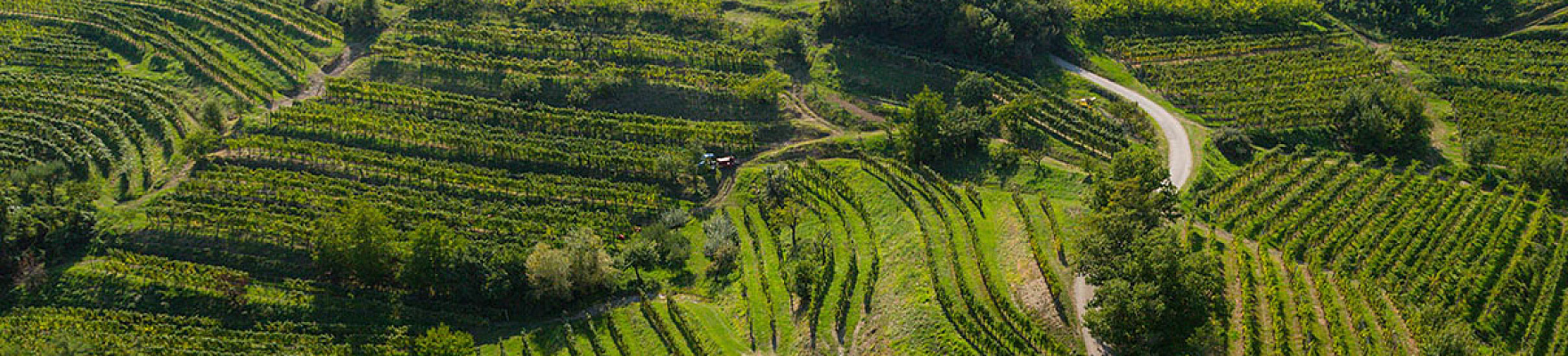 Simčič Marjan Family Estate