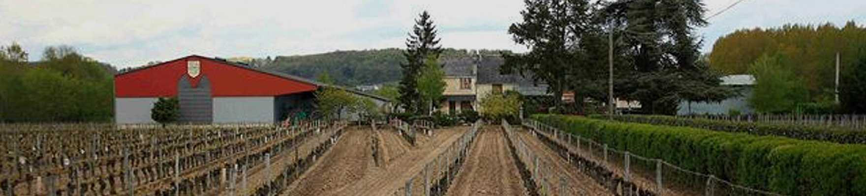 Domaine Philippe Alliet