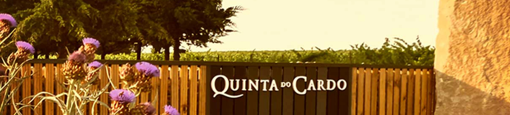 Quinta do Cardo