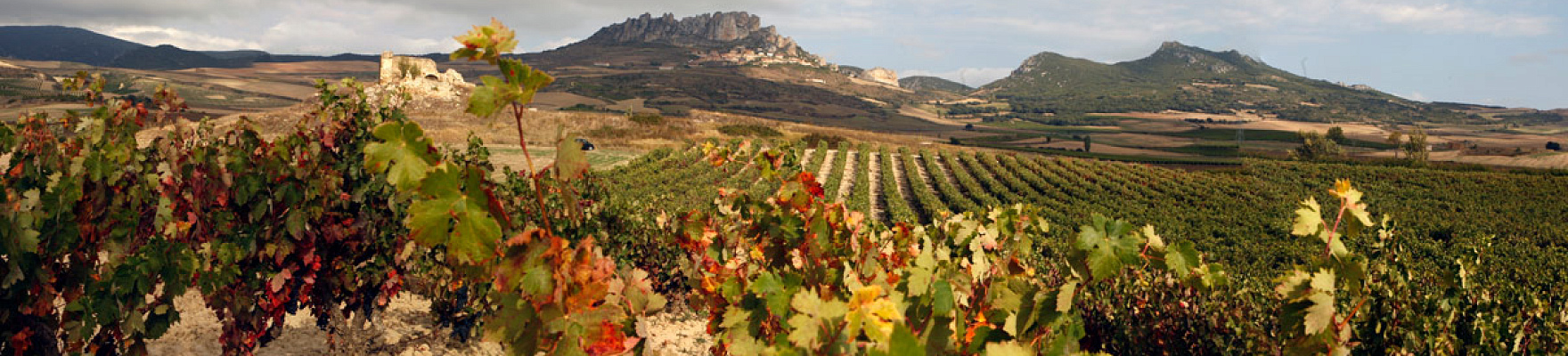 Bodegas Tarón