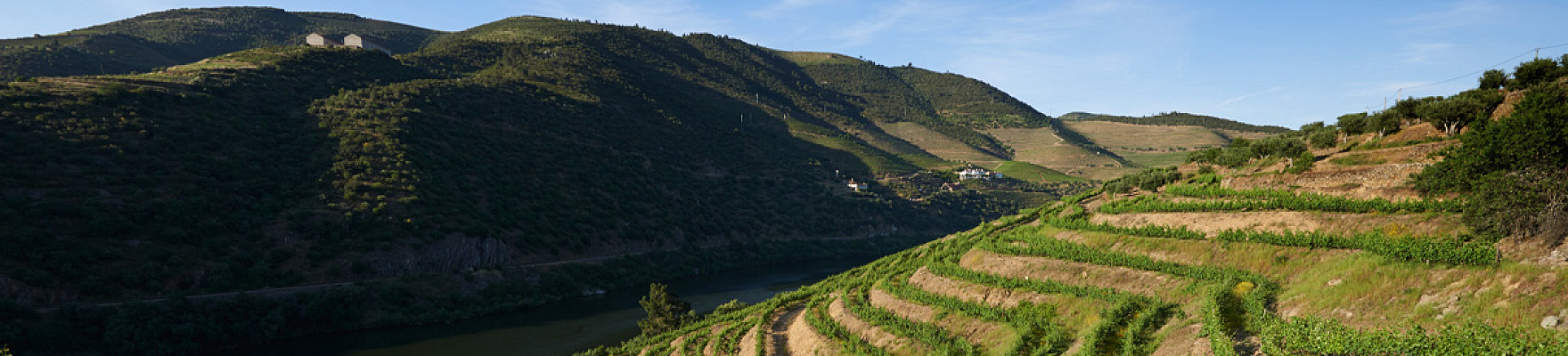 Quinta das Tecedeiras