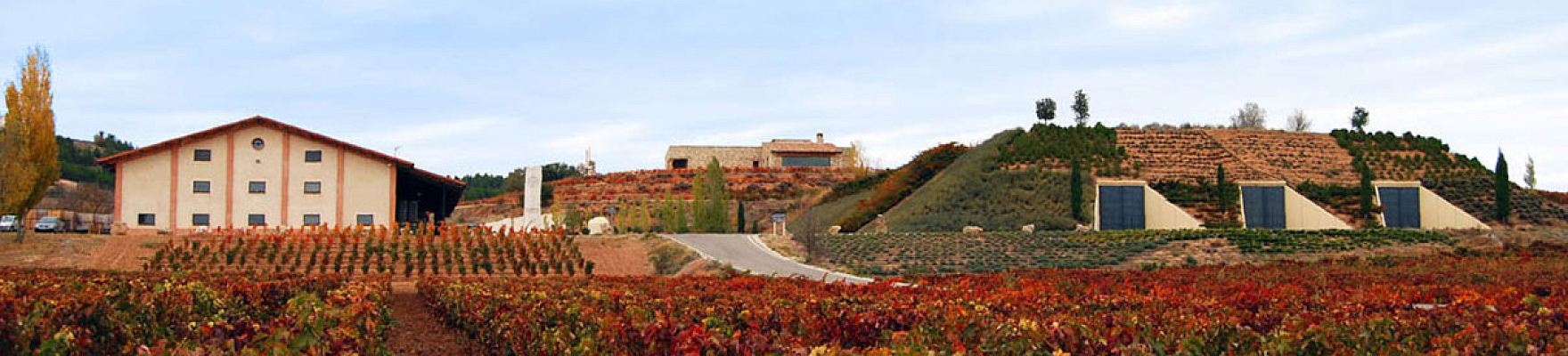 Panorámica de la bodega