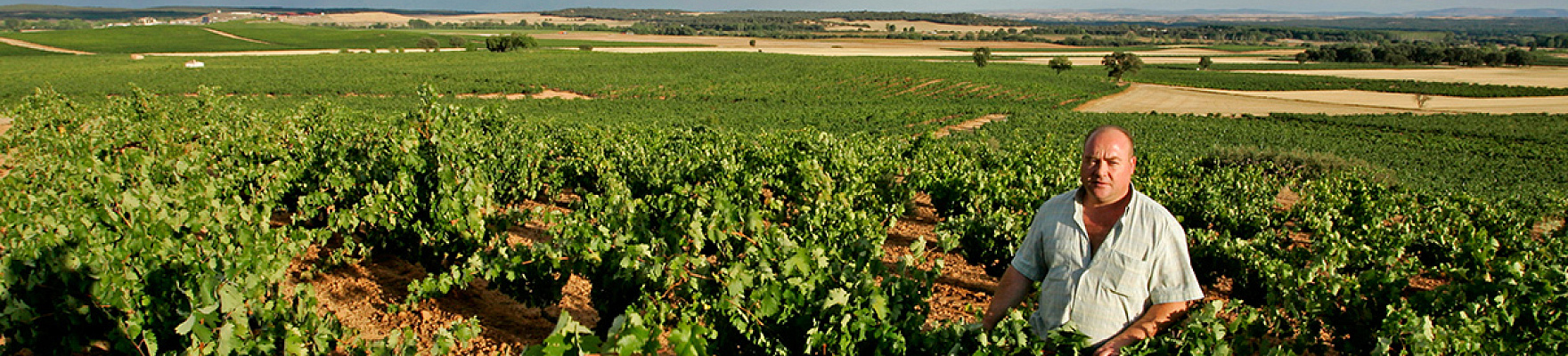 Bodegas Hermanos Sastre