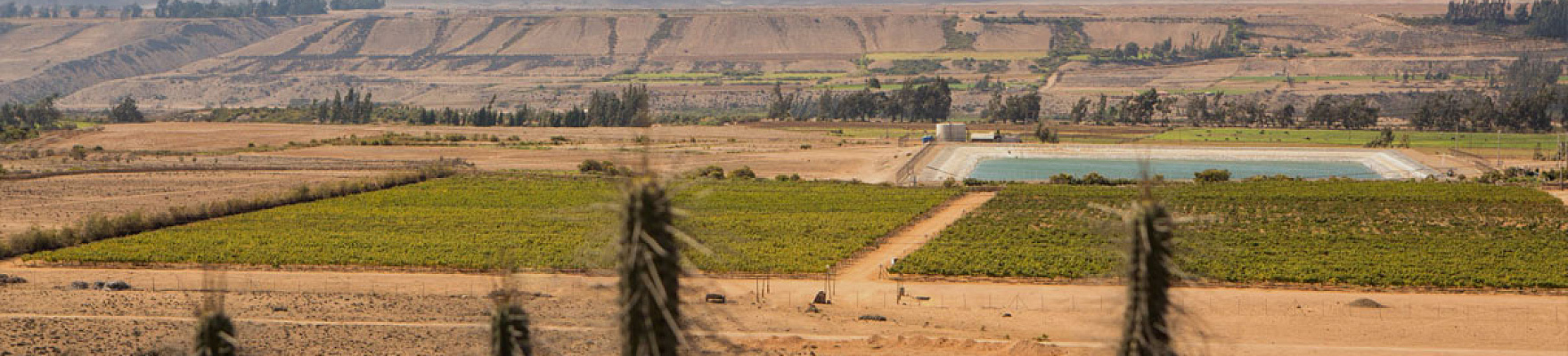 Bodega Viña Ventisquero