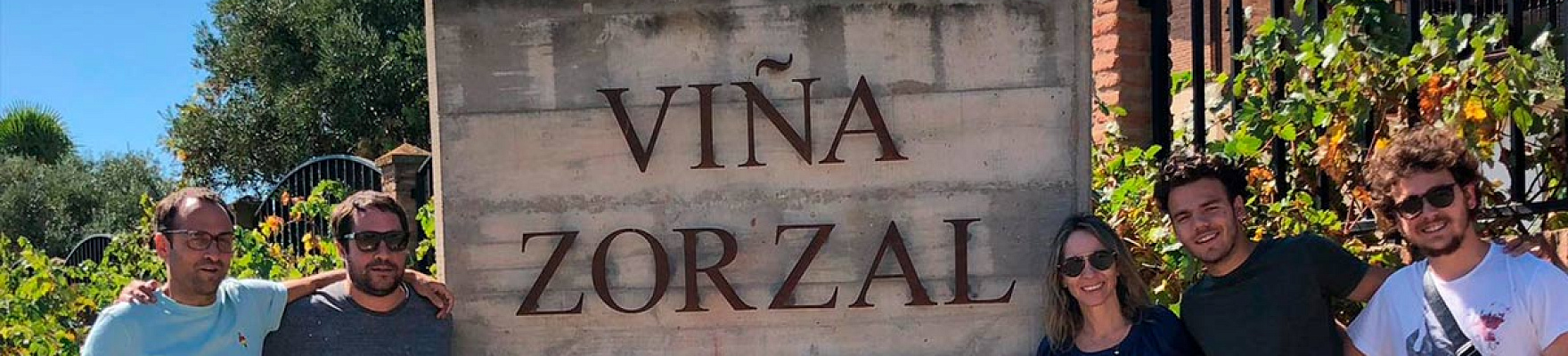 Viña Zorzal Wines