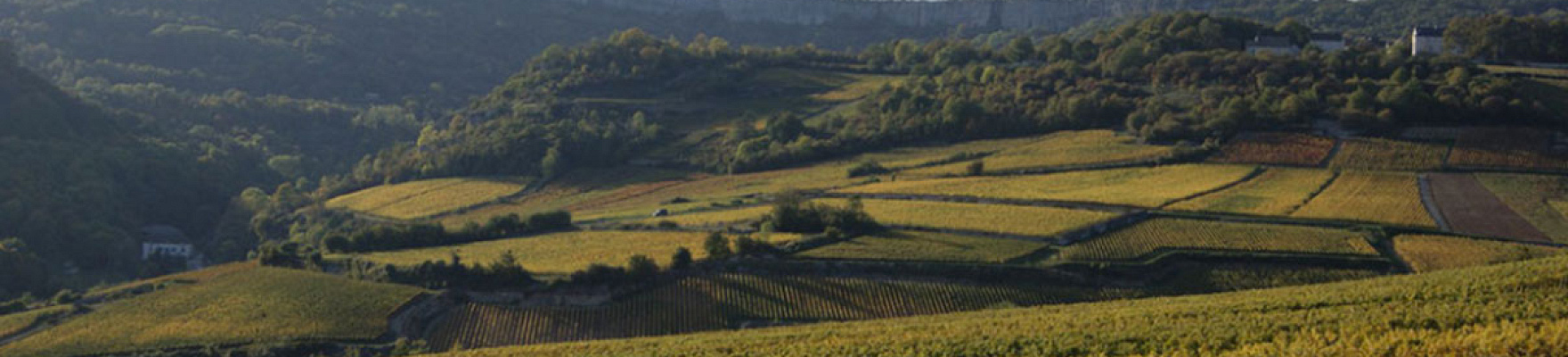 Domaine Vincent Gaudry