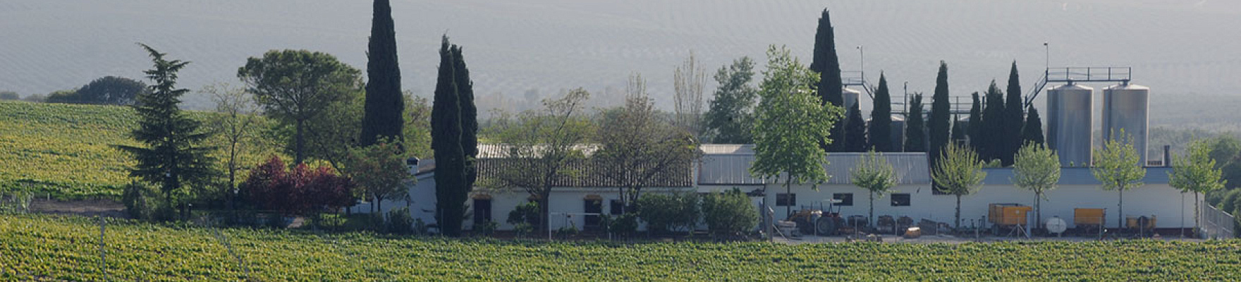 Bodegas Pérez Barquero