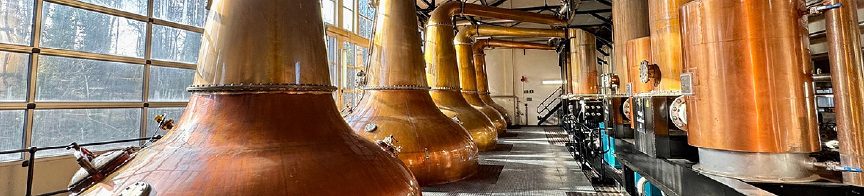 Producteur: Industria Licorera de Caldas