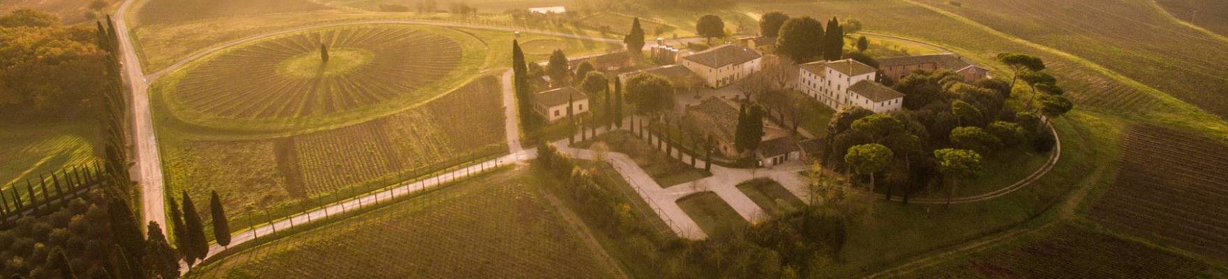 Producteur: Avignonesi 