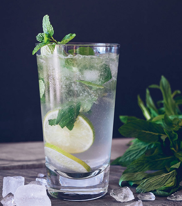 Mojito Tonic