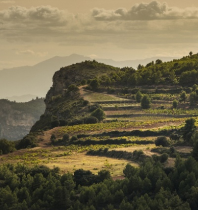 Todo sobre Priorat