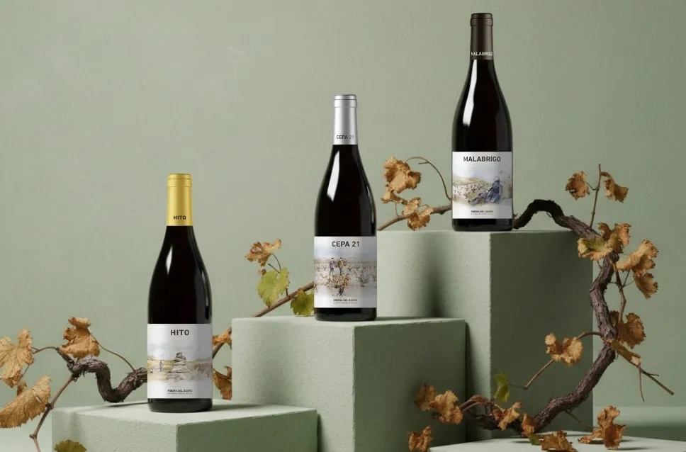 Vins du domaine Cepa 21