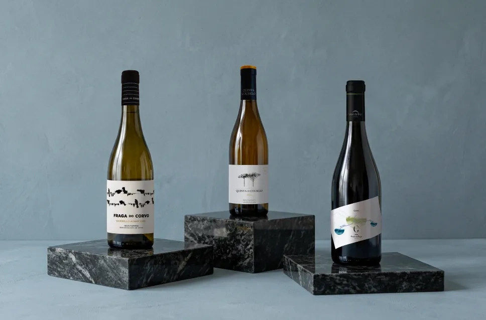 Vins du domaine Grandes Pagos Gallegos