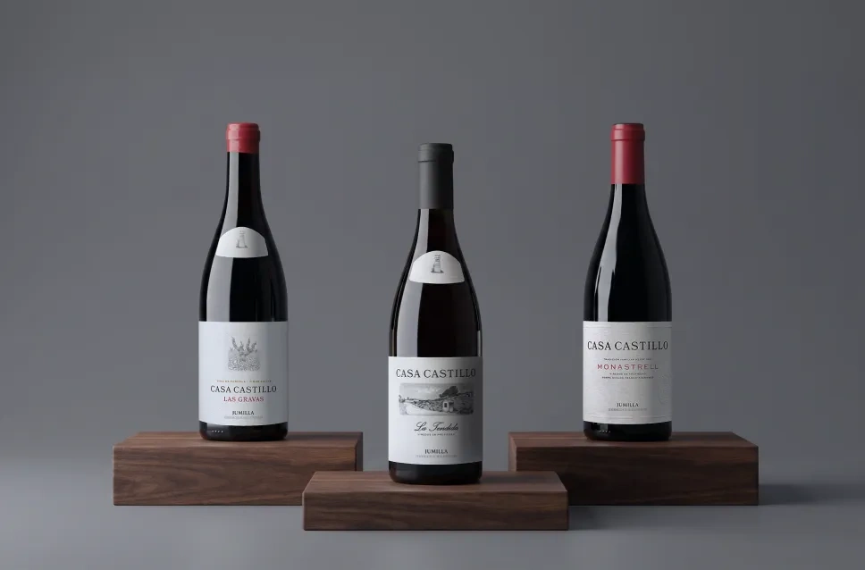 Bouteilles de vin du domaine Casa Castillo