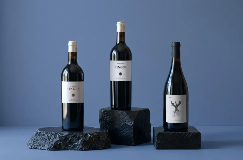 Bouteilles de vin du domaine Dominio de Pingus