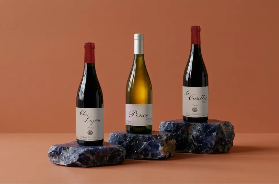 Bouteilles de vin du domaine Ponce