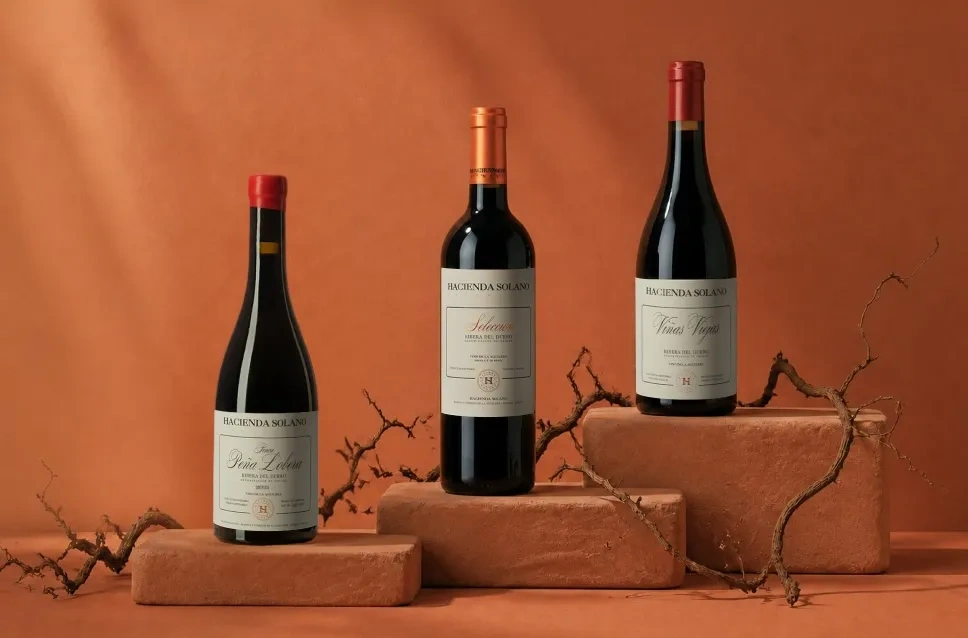Bouteilles de vin du domaine Hacienda Solano