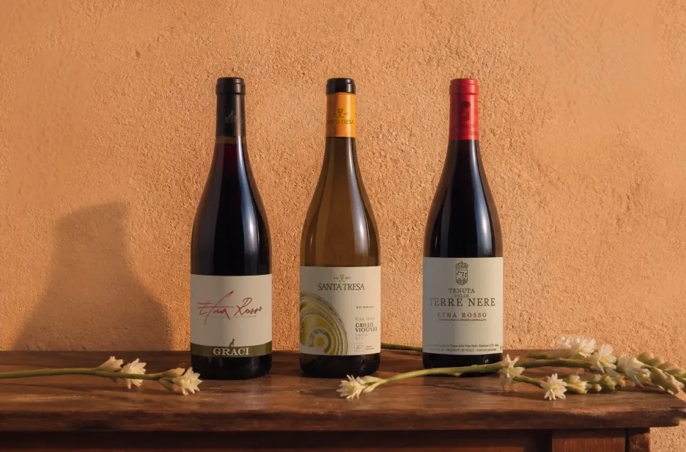 Bouteilles de vin de Sicile en promotion