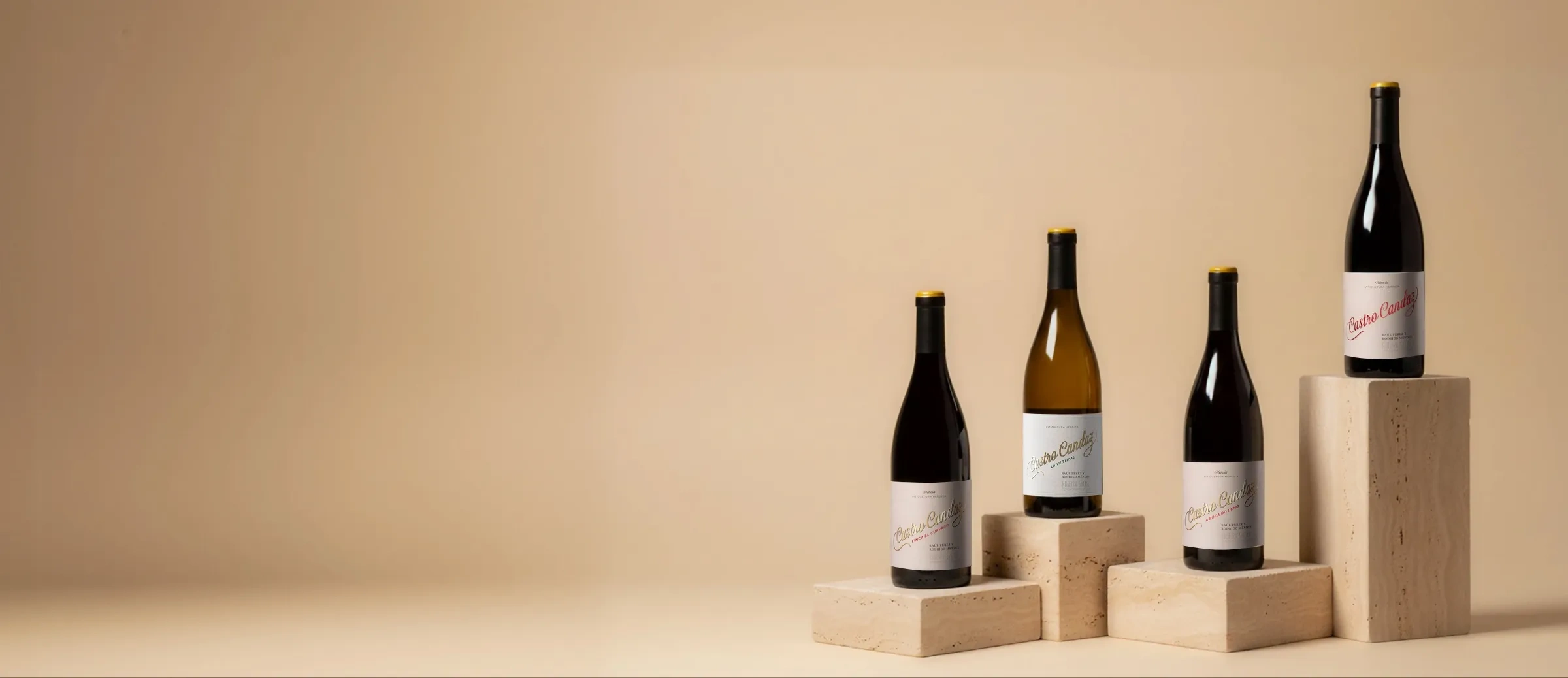 Vins de Castro Candaz