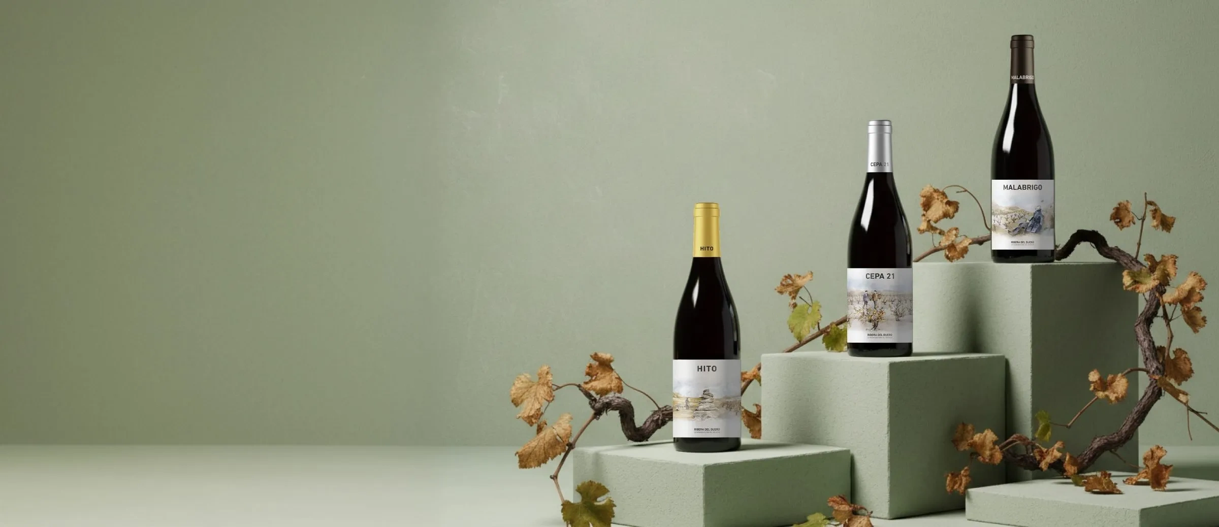 Vins du domaine Cepa 21