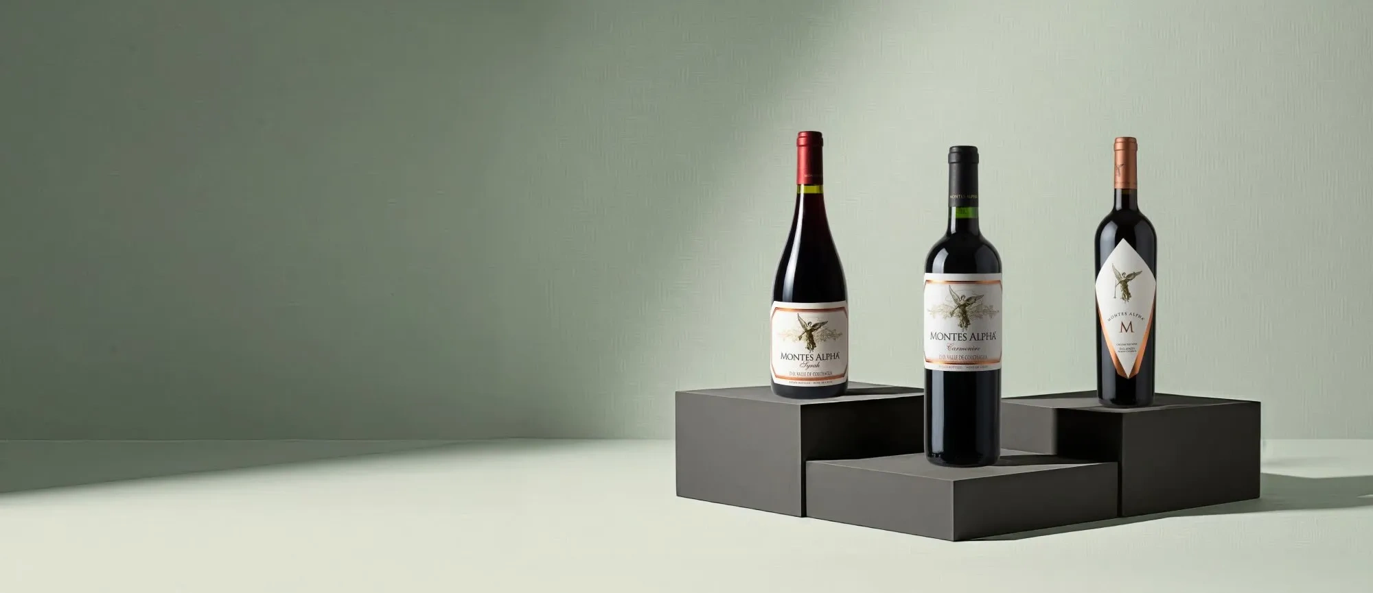 Vins de Viña Montes 