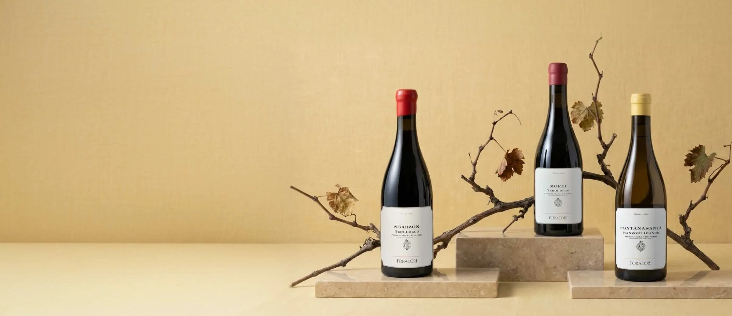 Vins du domaine Elisabetta Foradori