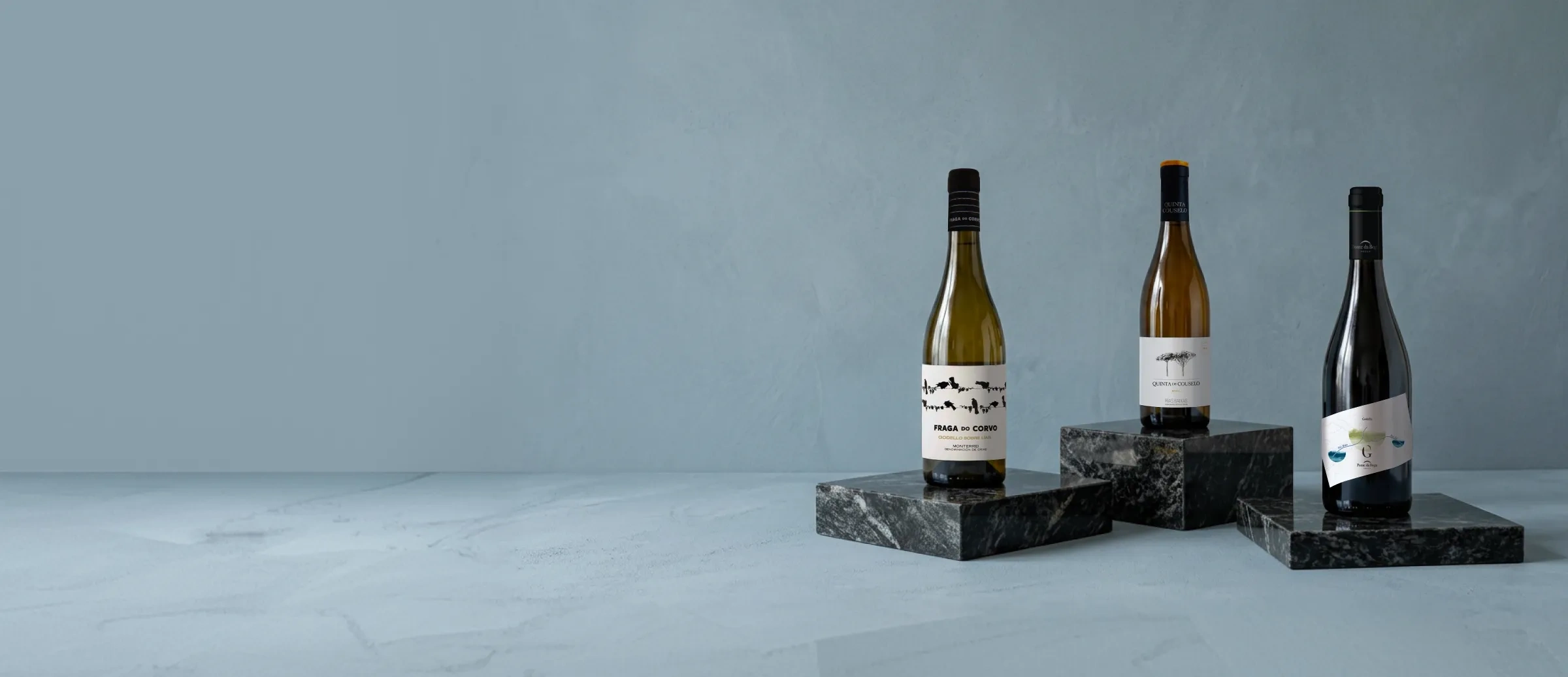 Vins du domaine Grandes Pagos Gallegos